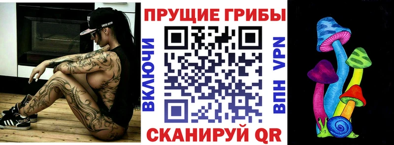 Галлюциногенные грибы Psilocybine cubensis  где можно купить наркотик  Саянск 